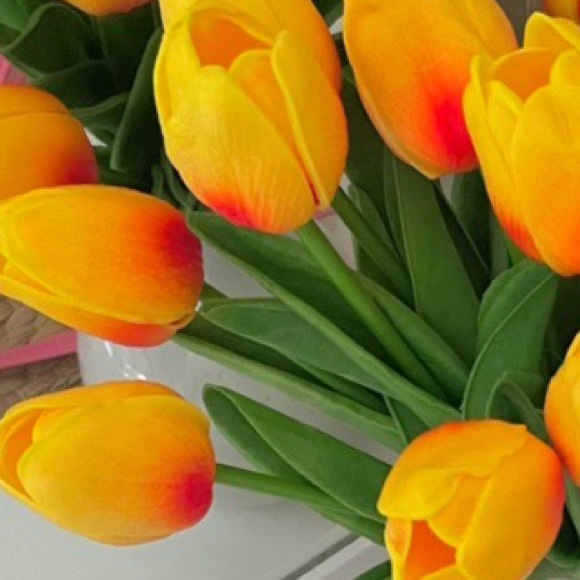 Nike Shoes - Nike Air Max Plus Triple White